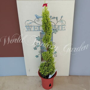 _500~OFFN[|s 12/3`^ gsA[d Rjt@[ 5킩Iׂ 6y zΎ  ~ɋ ϗtA Mtg A NX}X  v[g a 