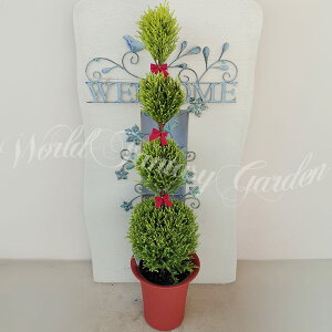 _500~OFFN[|s 12/3`^ gsA[d Rjt@[ 5킩Iׂ 6y zΎ  ~ɋ ϗtA Mtg A NX}X  v[g a 