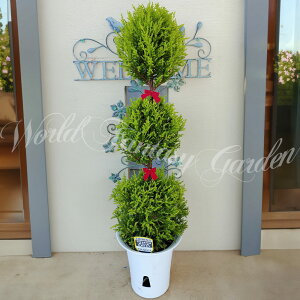 c gsA[d Rjt@[ 5킩Iׂ 6y͂ zΎ  ~ɋ ϗtA Mtg A NX}X  v[g a JXj j nbs[K[f