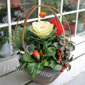  v[g  Mtg Vt Ԃł܂ a 񂹐A 8ys\@12蔭Jn n zA ~̃Mtg t[Mtg 蕨 i hV c c ΂