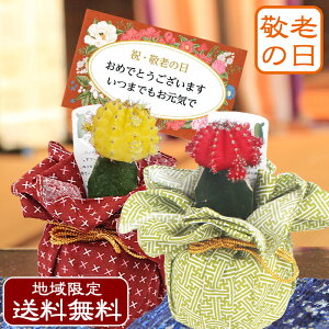 牡丹 鉢 農業資材 ガーデニング用品の人気商品 通販 価格比較 価格 Com 牡丹 鉢 農業資材 ガーデニング用品の人気商品 通販 価格比較 価格 Com