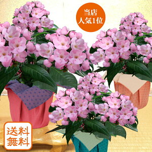 風呂敷 花 生花の人気商品 通販 価格比較 価格 Com 風呂敷 花 生花の人気商品 通販 価格比較 価格 Com