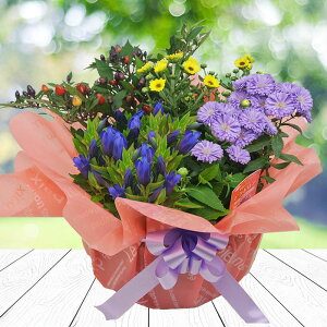 H Mtg  񂹔  G߂̂܂ oXPbg 񂹔Zbg Iׂ^Cv 7āy[ n著zΕ v[g Ԕ ԕc t[AWg  a Ԕ 