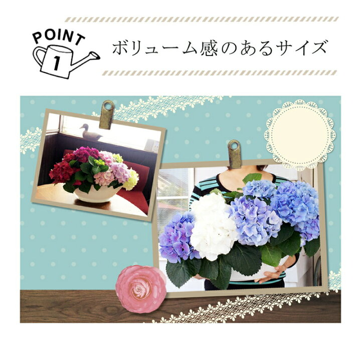 鞠『インテリア飾り・贈答用』No.687四季の花【紫陽花3】