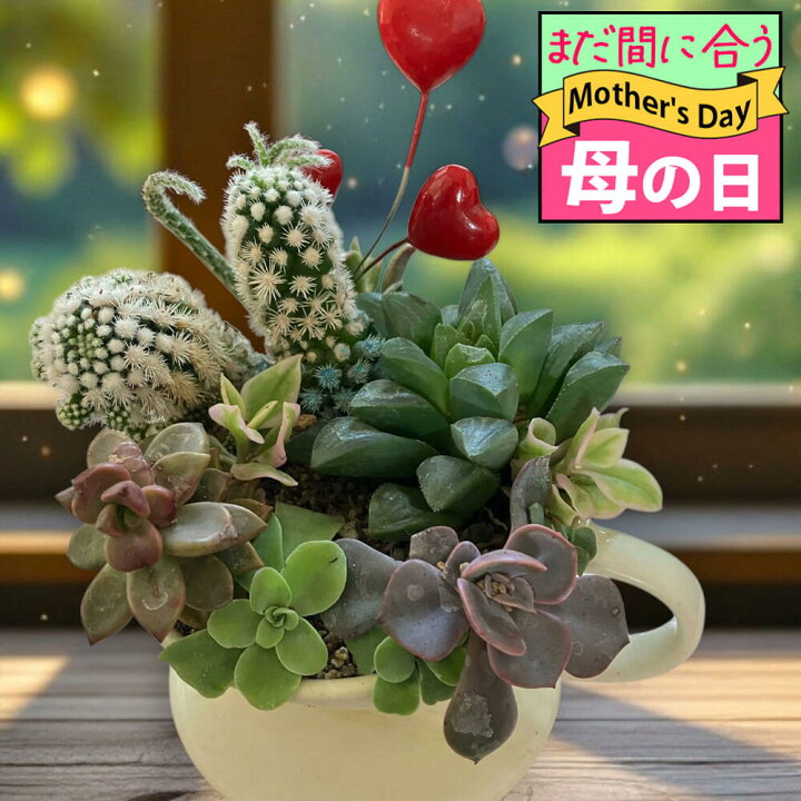 ガーデン 送料込み10/29まで限定！