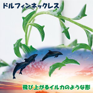 A r[lbNXV[Y 5킩Iׂ 1 2.5`3y񂹁zSenecio rowleyanus O[lbNX r[lbNX@A[hlbNX 񂹐A nMO LN Zl