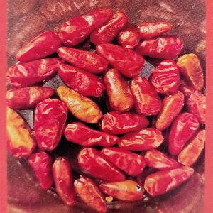 _}}2{^ؕc  World Hot Chili Peppers Ƃ炵 c Iׂ31 1 3|bg`4d|bgy͂zgEKV `ybp[ hq h ĕc nbs[K[f HappyGarden