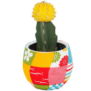 H Mtg A v[g aT{e q{ ꉲO 1 3y[ n著zA 60 70 80  a ϗtA T{e q{^ j a   ` 202