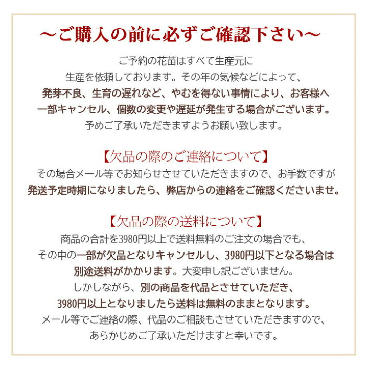 楽天市場】花苗 デルフィニウム パシフィックジャイアント大型 選べる7 