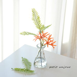 }WJEH[^[@KX@AWg@tFCNO[@t@[@B@O[@ԁ@Mtg@CTG}