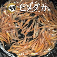 【1匹価格】めだか ヒメダカ【1000匹まで同梱包可能】目高 生体 餌用 エサ用 エサメダカ ビオトープやメ…