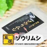 【900ml～300ml】メダカの餌 ゾウリムシ【送料無料】日本トップレベルのメダカ屋 めだか 生体 針子 稚魚 …