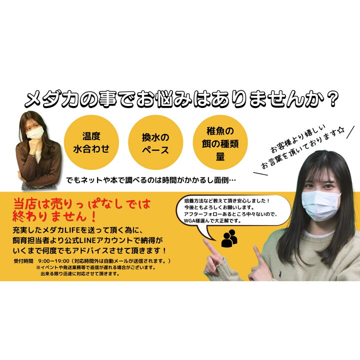 楽天市場 4000円相当が2480円 メダカ 高級めだか 送料無料 ミックスメダカ 匹 餌セット メダカ水槽 オロチ 深海 楊貴妃 紅帝 北斗 幹之 フルボディ ゾウリムシ ミジンコ Psb 生クロレラ と同梱包可能 World Green Aquarium