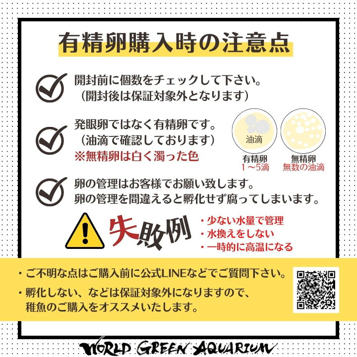 在庫限り メダカの卵 高級品種 王華 有精卵10個 めだか メダカ 卵 たまご キラキラのラメ ゾウリムシ ミジンコ Psb 生クロレラ と同梱包可能 Shipsctc Org