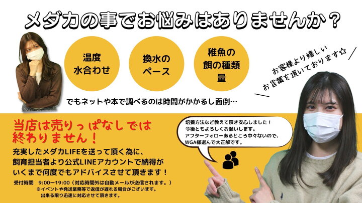 激安格安割引情報満載 メダカ 送料無料 ミックスメダカ匹 餌セット めだか おすすめ 人気 初心者 おまかせ 楊貴妃 オロチ 深海 幹之 ゾウリムシ ミジンコ と同梱包可能 Shipsctc Org 激安格安割引情報満載 メダカ 送料無料 ミックスメダカ匹 餌セット めだか おすすめ 人気 初心者 おまかせ 楊貴妃 オロチ 深海 幹之 ゾウリムシ ミジンコ と同梱包可能 Shipsctc Org