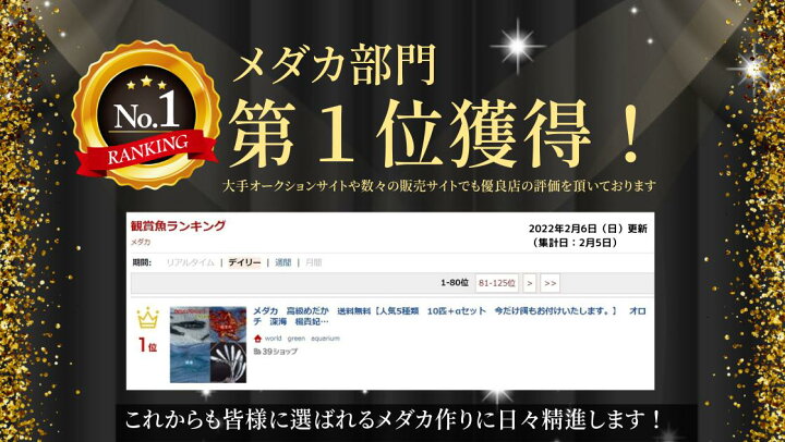 新作通販 メダカ 高級めだか 紅薊 べにあざみ １ペア コンテスト入賞個体 ゾウリムシ ミジンコ Psb 生クロレラ と同梱包可能 Shipsctc Org