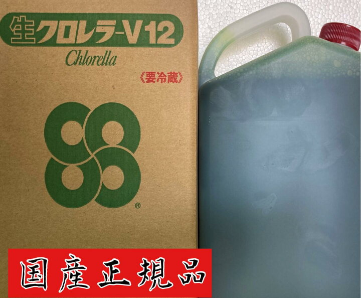 楽天市場 国産正規品 超濃縮生クロレラ1l クール便 ミジンコの爆殖 メダカの稚魚の餌などに World Green Aquarium