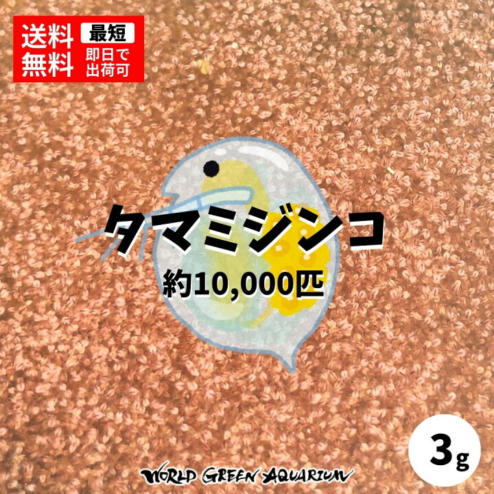 楽天市場 送料無料 高品質タマミジンコ 約10 000匹 ゾウリムシ Psb グリーンウォーター 生クロレラ などではお腹いっぱいにならない稚魚へ World Green Aquarium