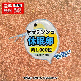 【送料激安】メダカ 餌【タマミジンコ休眠卵 約1,000粒2,000匹相当】めだか 生体 ゾウリムシ PSB と同梱可能 生クロレラで培養可 自由研究にもおすすめ！