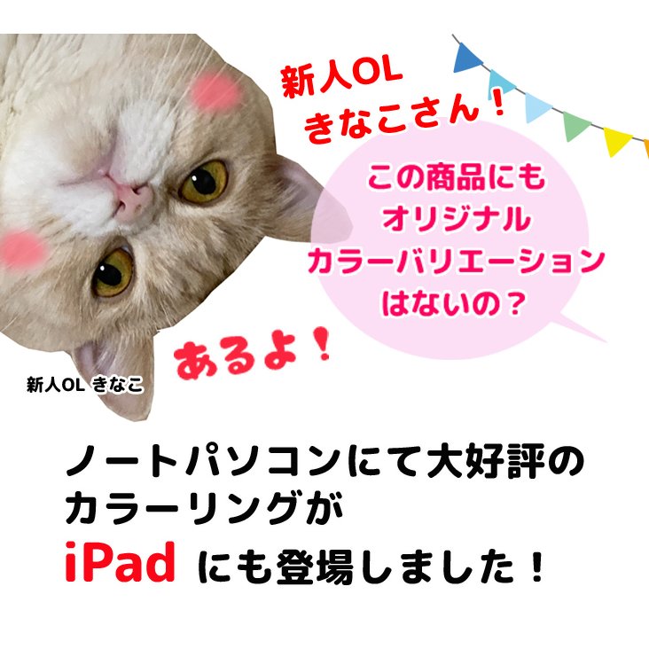 【楽天市場】【第5世代 iPad 便利に使える付属品付もりもり9点福袋 