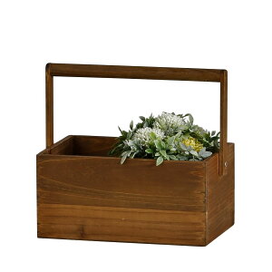 CeA  ؐ Are Habiter hD[ {bNX hD[V[Y ϗtA YI-602-BR 4538996578365