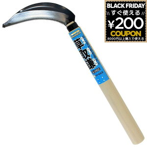  J}   芙 芙 G G | K[fjO  GA抙̂ڕt G-262