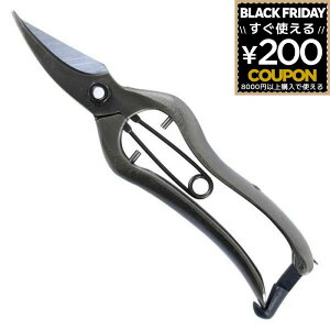  K[fjO |  ͂ nT~ | ѐ zH ŕ  185 B-01B 4962308373285