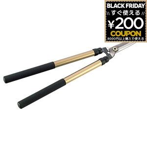 ΂ Lk   ͂ nT~  O Lk jVKL ĝт̂1000Lk N-381 _  t 4964590380019 jVKLH