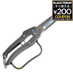 jVKL t  A t    }؂ jVKLH v200 t 4n N-207 4964590200072