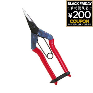 `J}T E ߐ 뒼n Eʗp np | n Eʍ ƒ؉  ʕ E   ͂ nT~ ΂ oT~  K[fjO { RpNg _ 