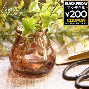 y݌Ɍz ֑} ԕr  RpNg KX KXԕr  NA  SPICE XpCX ^Cj[ t[x[X  lC 킢 VGGN2100PU ~jt[x[X CERO p[