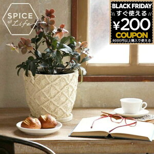 y݌Ɍz XpCX SPICE Aؔ  A }Nv^[ LTCY   O }N }N҂ }N  lC ϗtA  }bg K[f|bg 