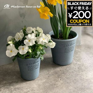 K[fjO  |bg ƒ؉ ϗtA  Vv x[VbN GR|bg ی^ 4 lCr[ 231462 4966511231462