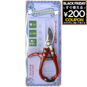 OWL ș͂ #555 ΂ nT~  ~ ז | ̉ K[fjO yďv Trɋ 4941019110402