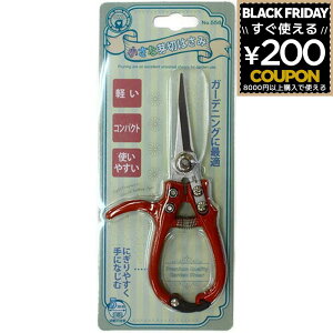 OWL ȉ؂͂ #556 ͂ nT~    K[fjO ~ ז | ̉ 4941019110419