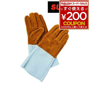 X^[d퐻 XYLbh SUZUKID  v n v 5{w {vnڗpo o nڗp nڎ  nڍ o[xL[   Mtg v[g  L