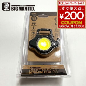 LEDCg BM LED~j~j|PbgCg[d Ђ` |PbgCg gуCg Ɩ Cg LED RpNg Jri BPLM-03 760lm F gF ԐF _ _ USB [d }Olbg Lv AE