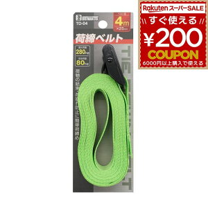 גxg 4m TD-04 ƍH ƎG BIGMAN(rbO})