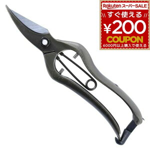  K[fjO |  ͂ nT~ | ѐ zH ŕ  185 B-01B 4962308373285