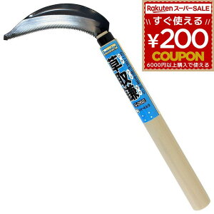  J}   芙 芙 G G | K[fjO  GA抙̂ڕt G-262