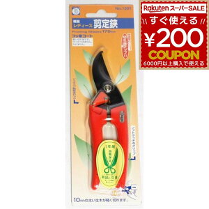 T{e fB[X IW ͂ nT~ |͂ |nT~ K[fjO