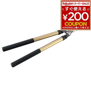 ΂ Lk   ͂ nT~  O Lk jVKL ĝт̂1000Lk N-381 _  t 4964590380019 jVKLH