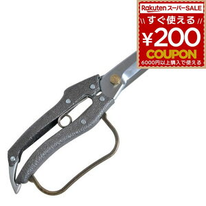 jVKL t  A t    }؂ jVKLH v200 t 4n N-207 4964590200072