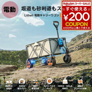 AEghAS d S L[S litheli dL[S C`lANZX W2 PRO e150L ω׏d100kg AEghA Lv W[ W[ I őo 900w Oi