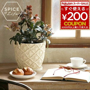 y݌Ɍz XpCX SPICE Aؔ  A }Nv^[ LTCY   O }N }N҂ }N  lC ϗtA  }bg K[f|bg 