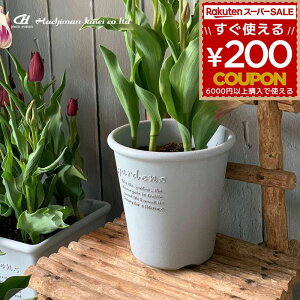 K[fjO  |bg ƒ؉ ϗtA  Vv x[VbN GR|bg ی^ 4 O[ 231455 4966511231455