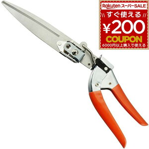 Ŋ Ő  ŐpJb^[ Jb^[ Ő؂ 荞   GbWJbg GbW y K[fjO  i _CV ]Ő XeX |nT~    