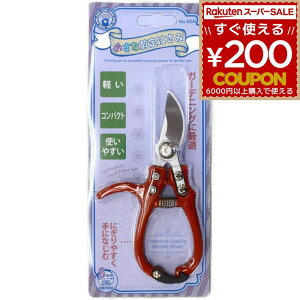 OWL ș͂ #555 ΂ nT~  ~ ז | ̉ K[fjO yďv Trɋ 4941019110402