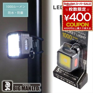 |PbgCg Cg ~jCg 퓔 U jO EH[LO Ï 1000lm h ho IP66 AEghA oR ނ Εt Nbvt y TCNO ^ lC ^ h 