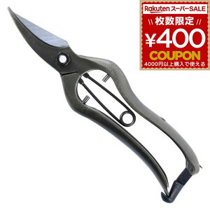  K[fjO |  ͂ nT~ | ѐ zH ŕ  185 B-01B 4962308373285